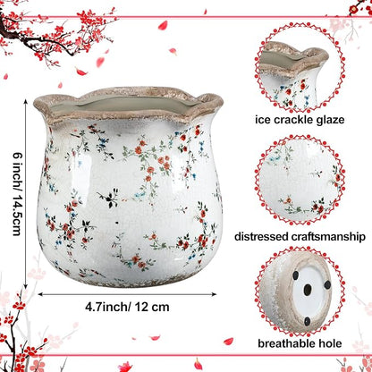 Newtay 6 Inch Ceramic Plants Pots Vintage Ceramic Flower Planters Crackle Glaze Finish Flower Pots Decorative Floral Vintage Planters for Living Room Garden Home Decor Gifts(Cute)