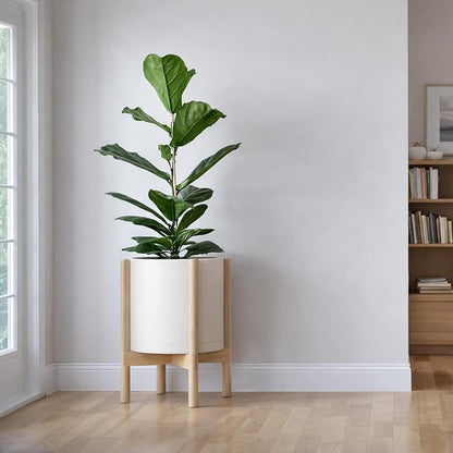 D'vine Dev Plastic Pot with Natural Wood Stand, Oatmeal, 12 in, 55-C-P-4 | Mid-Century Inspired Design, Elevated Plant Display, Clean Lines, Sturdy Support, Modern Space-Saving Style