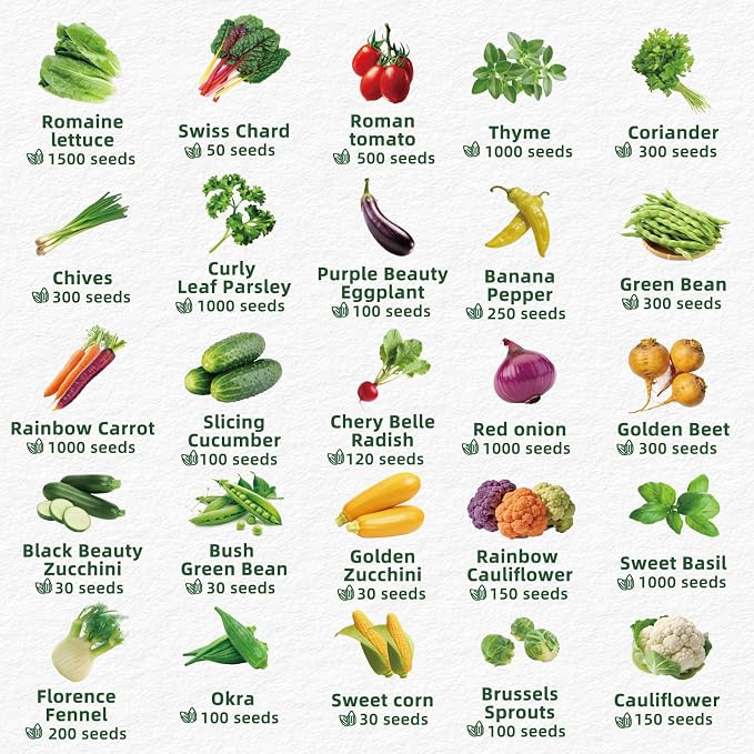 40 Vegetable & Herb Seeds Vault Kit with Sweet Basil, Cherry Tomato, Romaine Lettuce, 20,000+ Garden Seeds for Indoor Outdoor Planting