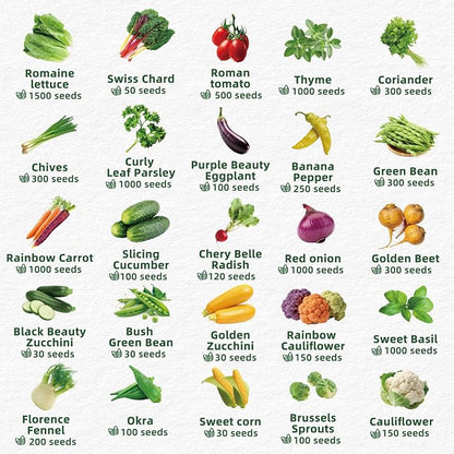 40 Vegetable & Herb Seeds Vault Kit with Sweet Basil, Cherry Tomato, Romaine Lettuce, 20,000+ Garden Seeds for Indoor Outdoor Planting