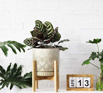 8 Inch Plant Pot with Stand, Ceramic Planter with Drainage Holes, Saucers and Mesh Pads for Indoor-Outdoor Plants