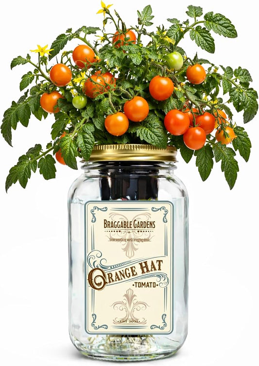 Orange Hat Micro Tomato Indoor Garden Kit – Mason Jar Hydroponic Tomato Grow Kit – Windowsill Countertop Tomato Planter – Grow Orange Cherry Tomatoes Indoors