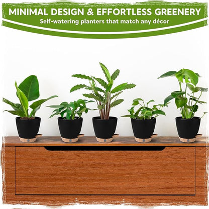 5 Pack 6 Inch Self Watering Planters for Indoor Plants, Automatic Watering Pots for Busy Plant Parents & Vacation, Decorative Modern Flower Pots with Drainage & Saucers (Black, 6 inch)