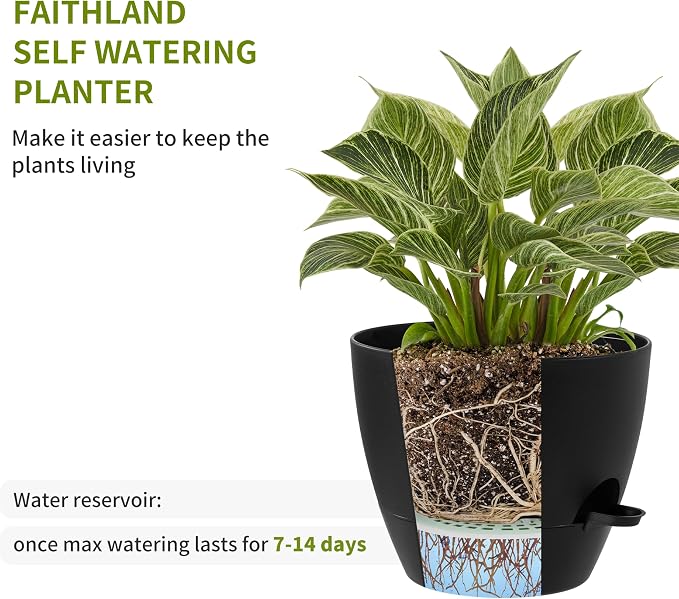 FaithLand 3-Pack Planter Pots, 10 9 8 Inch Self Watering Flower Pots for Indoor Outdoor Garden Plants, Black with Brown