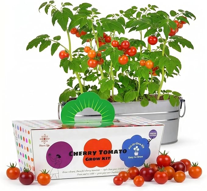 Tomato Grow Kit - All-in-One Indoor Vegetable Garden Starter Kit with Metal Planter, Complete Growing Set for Beginners, Kitchen Windowsill, Home Gardening & Plant Lovers Gift