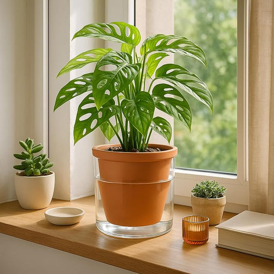 D'vine Dev 6 Inch Design Self Watering Pot for Indoor Plants, Terracotta Planter with Cylinder Glass Cup, 37-X-B-1