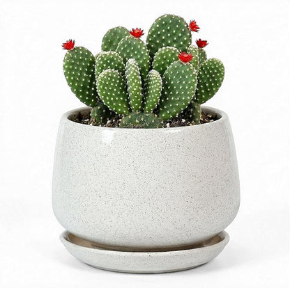 7.5 Inch Flower pots for Indoor Outdoor Plants with Saucer Drainage Leak-Proof Mesh, Ceramic Planter with Gardening Gloves for Succulent and Flower(Matte White)