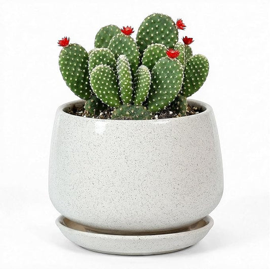 7.5 Inch Flower pots for Indoor Outdoor Plants with Saucer Drainage Leak-Proof Mesh, Ceramic Planter with Gardening Gloves for Succulent and Flower(Matte White)