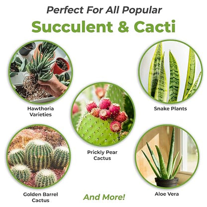 Perfect Plants Liquid Cactus & Succulent Fertilizer 8oz. | Food for Live Succulents, Cacti, Aloe & More | Indoor and Outdoor Use with Every Watering