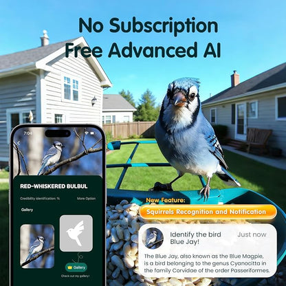 Bird Feeder with Camera, 4K Ultra HD Video with 30fps Live View, 10x Slow Motion, No Subscription, Solar Powered AI Smart Bird Feeder with Camera, 2.4G/5G Wi-Fi, Durable Metal,Bird Lover Gift