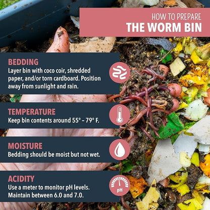 Worm Nerd Composting Worms – Live Red Wriggler Compost Worms Mix & Arcadia Garden Products Worm Chow - Jump & Jive Blend - 2 lbs, Wormeries, Vermiculture, Worm Feeding