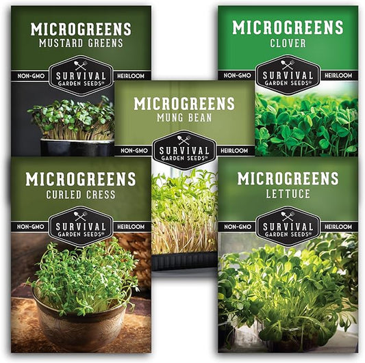 Microgreens Seeds Variety Pack - 5 Heirloom Types for Indoor Sprouting | Mustard, Mung Bean, Curled Cress, Clover & Lettuce – Fast-Growing Non-GMO Heirloom Starter Seeds – Survival Garden Seeds