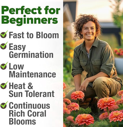 HOME GROWN Coral Zinnia Seeds (1g) – 300 Zinnia elegans Annual Flower Seeds for Planting Outdoors – Heat Tolerant Easy Summer Flowers to Plant – Herb Seed Companion for Pollinator Garden Beds for 2026