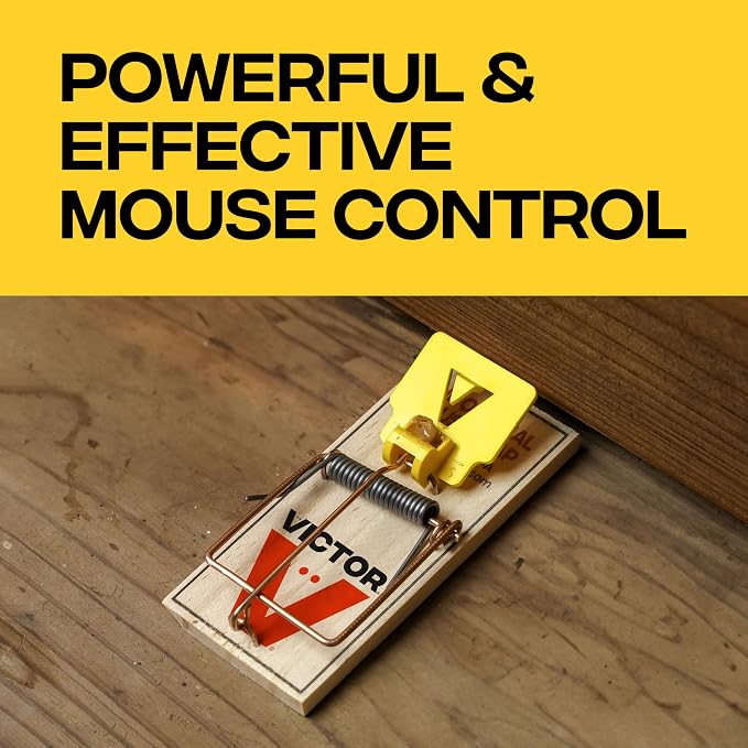 Victor Mouse Traps, 12-Pack Plastic Pedal Snap Traps, FSC Certified Wood | Indoor Rodent Control Reusable Mousetraps for Mice Pest Control Effective Instant Kill