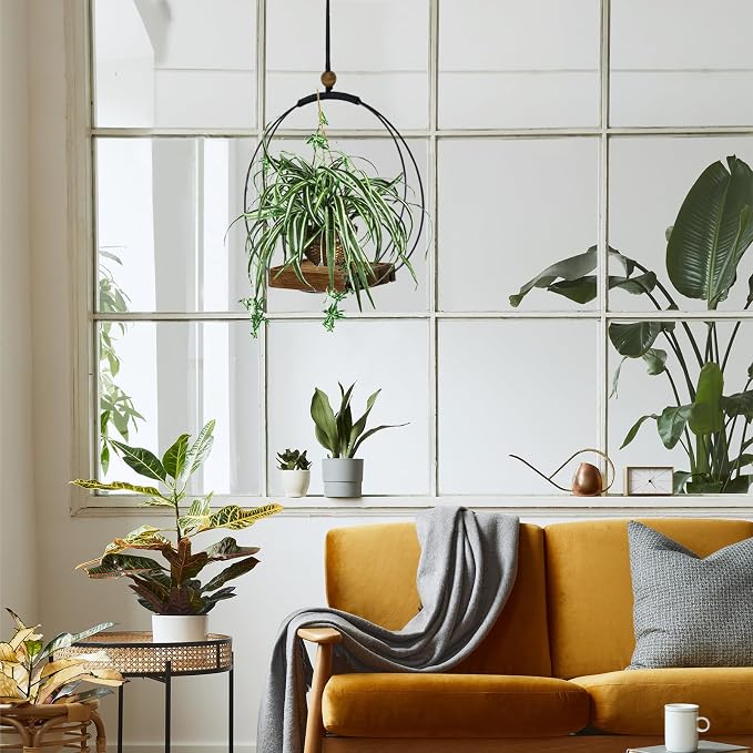 Adnkwolivt Hanging Planters for Indoor Plants - Plant Hanger Outdoor Pack of 2, Metal Plant Hanger Mid Century, Hanging Wall Ceiling Window, Gift for Mom, Plant Lovers, Housewarming