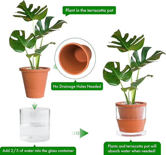 D'vine Dev 6 Inch Design Self Watering Pot for Indoor Plants, Terracotta Planter with Cylinder Glass Cup, Set of 2, 37-Y-B-1