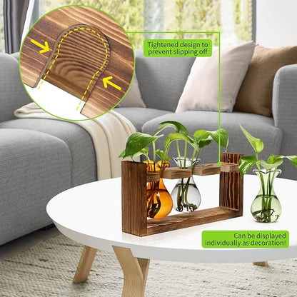 Plant Propagation Station Plant Terrarium Unique Birthday Gifts for Women | Plant Lovers Home Office Decor Planter with Wooden Stand - 3 Bulb Glass Vase