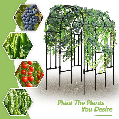 Trellis for Climbing Plants Outdoor - Cucumber Trellis for Raised Bed, Size:71 * 47 * 79 inch, Garden Trellis for Climbing Plants, Cucumber, Vegetable, Tomato, Flowers