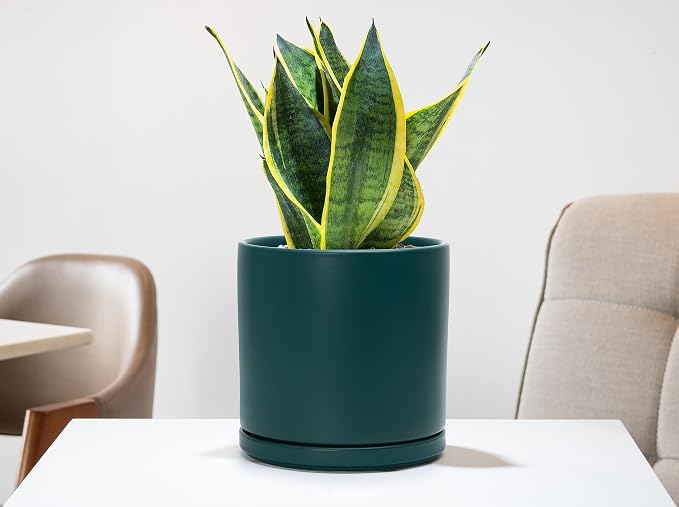 D'vine Dev 8 Inch Ceramic Planter Pot, Teal, 94-O-D-9 | Modern Cylinder Design, Drainage Hole & Saucer Included, Stable Structure, Elegant Home Accent