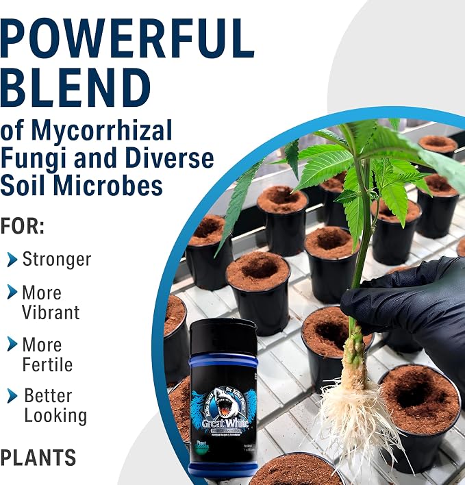 Great White Mycorrhizal Fungi 4 oz, Beneficial Bacteria for Plant Growth, Root Stimulator, Concentrated 3-in-1 Formula by Plant Success