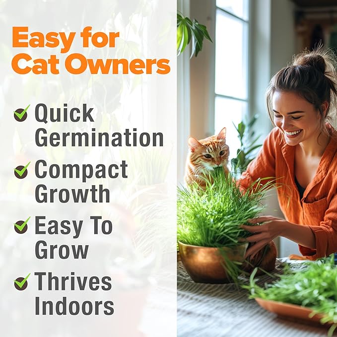 HOME GROWN Non GMO 1 Pound Cat Grass 12,700+ Seeds & Kittens Oat & Barley Mix 100% Heirloom, Grow Fresh Kitty for Chewing, Pet Indoor Garden