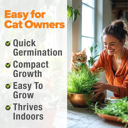 HOME GROWN Non GMO 1 Pound Cat Grass 12,700+ Seeds & Kittens Oat & Barley Mix 100% Heirloom, Grow Fresh Kitty for Chewing, Pet Indoor Garden