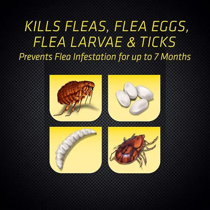 Black Flag Extreme Flea Killer Plus Growth Regulator RTU for Insects, 1-gal, 128 Oz