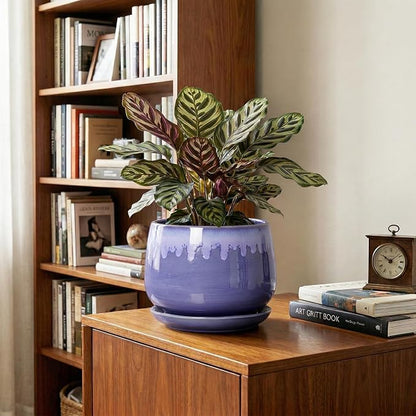 Ceramic Flower Pots - 7 Inch Indoor Planter with Drainage Hole and Saucer, Decorative Unique Flower Pot for Indoor Plants, Round Plant Pots, Office Patio Decor, Garden Gifts Women, Blue