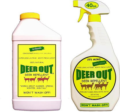 Deer Out Deer Repellent: 40oz Ready to Use Spray + 32oz Concentrate (Combo) | Natural Ingredients, Keeps Deer Away, Deer Deterrent, Peppermint Oil Repellent, Protect Plants from Deer