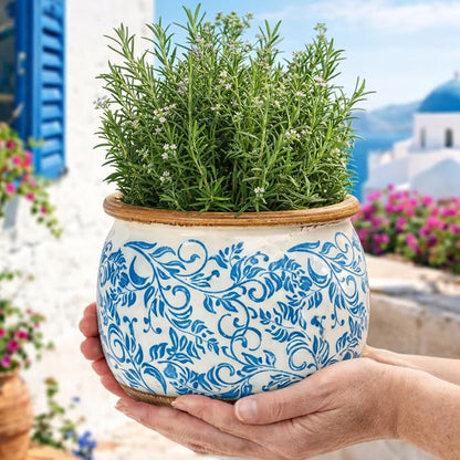 Vintage Ceramic Flower Pots - Indoor Outdoor Planters with Drainage Holes & Filter Screen, 6.5’’& 9’’ Rustic Farmhouse Decorative Plant Pots for Garden/Patio (Blue Vines, Small to Large Bundle)