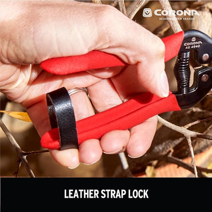 Corona Tools Long Curved Snips – 1.75″ Tempered Steel Precision Garden Shears for Fruit, Herbs, Flowers & Vineyard Use