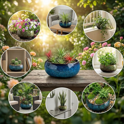 Lotus Bowl Planter - Ceramic Leak-Proof Hydroponic Pot with Rotating Bracket, 6.5 x 2.5 in Round Shallow Plant Glazed Vase, Indoor Water Planting for Home, Patio, Zen Garden Decor