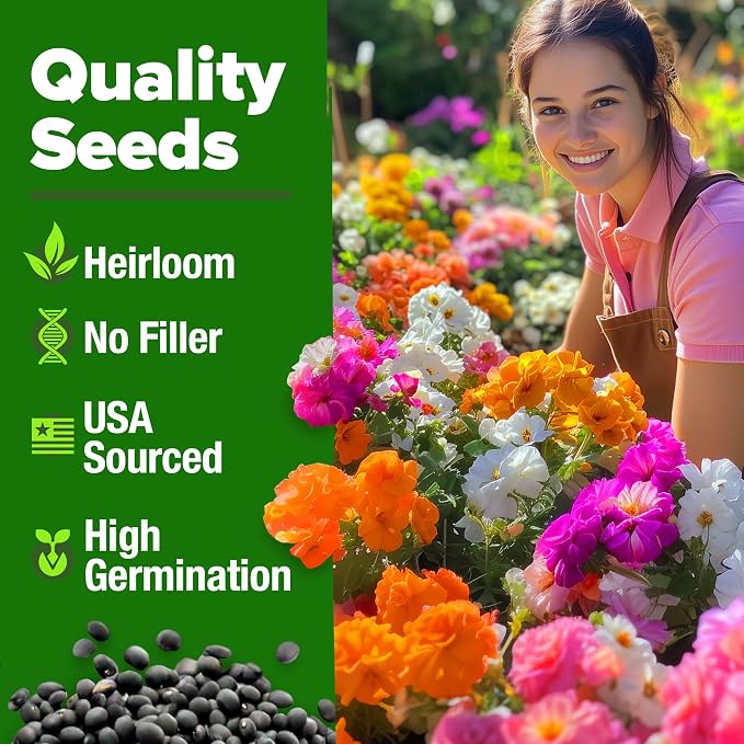 HOME GROWN 23,500+ Moss Rose Seeds (Bulk Pack) Annual Flower for Ground Cover - Heirloom Portulaca Seeds for Planting Outdoors - Great for Low-Maintenance Gardens (Portulaca grandiflora)