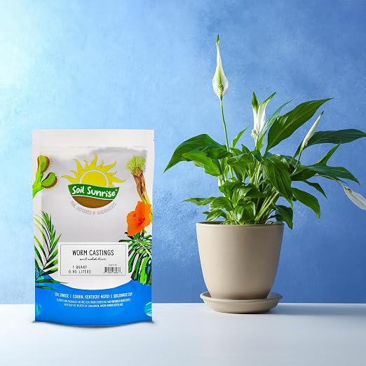 Soil Sunrise Premium Organic Worm Castings (1 Pound) 1QT All Natural Soil Additive, Builder, and Fertilizer