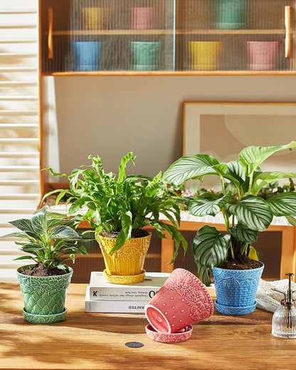 Metahom Ceramic Plant Pots, 5.8 Inch Flower Pots for Indoor Plants, Planters with Drainage Hole & Saucer, Garden Planters for Succulent, Orchid, Cactus, Home Decor, Set of 4, Assorted Colors