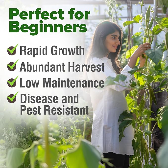 HOME GROWN Clemson Spineless Okra Seeds 101+ Heirloom Non-GMO Vegetable Seeds for Planting, Easy to Grow Summer Garden, High Germination, Heat Tolerant, Tender Green Pods (Abelmoschus esculentus)