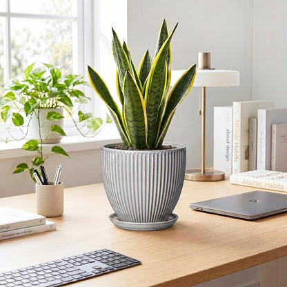 Ceramic Planters for Plants, 8 Inch Flower Pot with Drainage Hole and Saucer, Round Plant Pots for Indoor Plants, Modern Decorative Planter, Home Garden Decor, Gifts for Plant Lovers, Grey