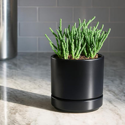 D'vine Dev 4.7 Inch Ceramic Planter Pot, Black, 94-O-B-2 | Modern Cylinder Design, Drainage Hole & Saucer Included, Stable Structure, Elegant Home Accent