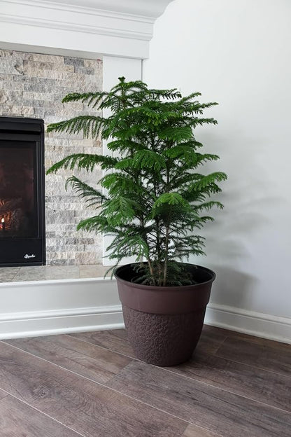 The HC Companies 16 Inch Brookhaven Decorative Round Planter - Lightweight Premium Resin Plant Pot with a Stonelike Texture for Indoor Outdoor Use, Brown