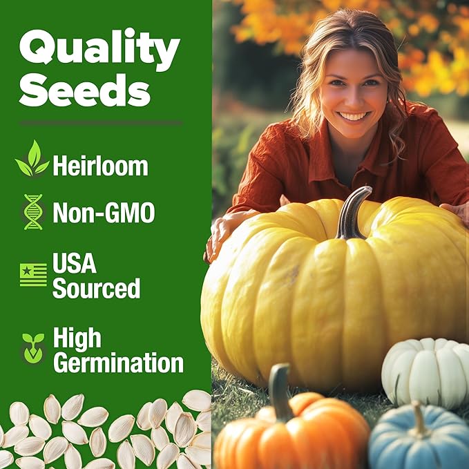 HOME GROWN Pumpkin Seeds 5 Variety Mix 40+ Heirloom Non-GMO, High Germination, Connecticut Field, Blue, White & Mini Pumpkins,Edible & Jack O Lanterns,Autumn Harvest,Ornamental Garden (Cucurbita pepo)