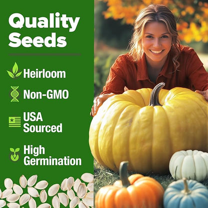 HOME GROWN Pumpkin Seeds 5 Variety Mix 40+ Heirloom Non-GMO, High Germination, Connecticut Field, Blue, White & Mini Pumpkins,Edible & Jack O Lanterns,Autumn Harvest,Ornamental Garden (Cucurbita pepo)