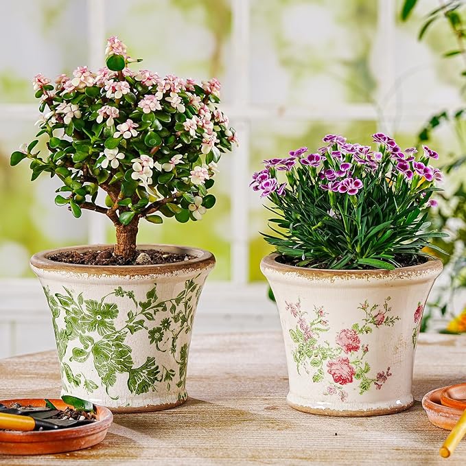 Sungmor Set of 2 Vintage Ceramic Flower Pots with Drainage Hole - Rustic Farmhouse Planters with Crackle Glaze & Floral Prints - Indoor Outdoor Decorative Plant Pots for Succulents, Herbs, Flowers