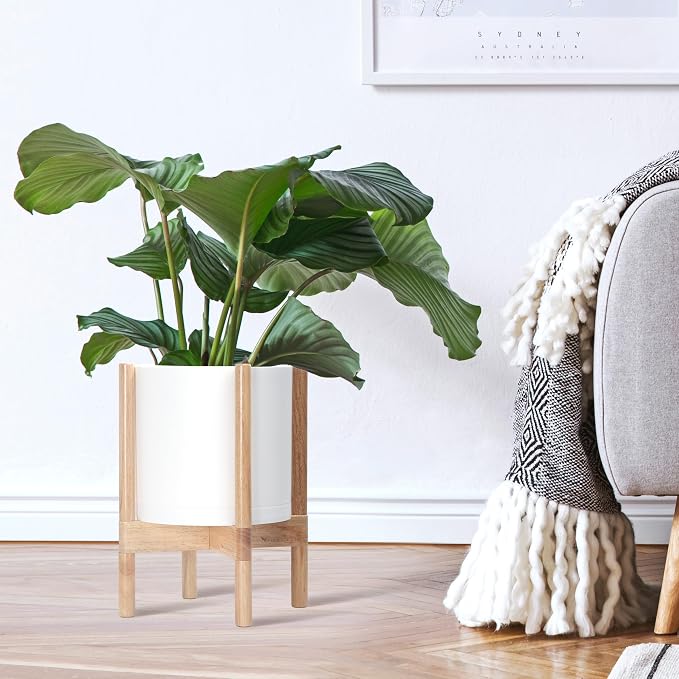 D'vine Dev Plastic Pot with Natural Wood Stand, White, 10 in, 55-C-M-1 | Mid-Century Inspired Design, Elevated Plant Display, Clean Lines, Sturdy Support, Modern Space-Saving Style