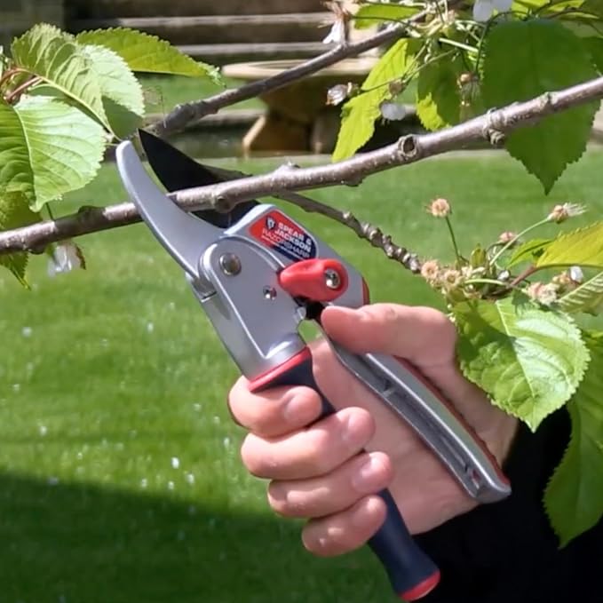 Spear & Jackson Razorsharp Ratchet Anvil Pruners with Twist Handle, Ergonomic High-Carbon Steel Blades for Effortless Pruning