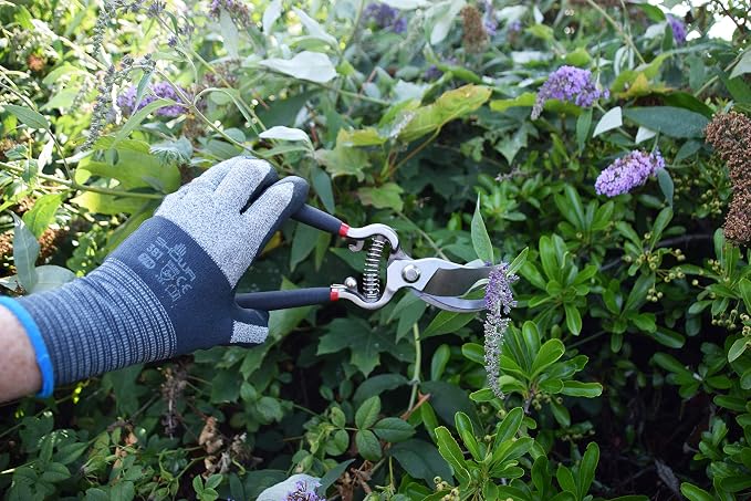 Spear & Jackson 5559BS Razorsharp Vintage Style Bypass Pruners, Black & Silver