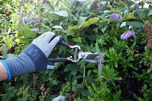Spear & Jackson 5559BS Razorsharp Vintage Style Bypass Pruners, Black & Silver