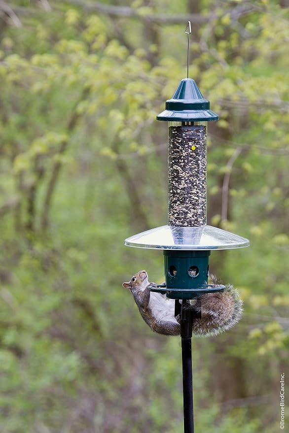 Squirrel Buster Plus Squirrel-proof Bird Feeder w/Cardinal Ring and 6 Feeding Ports, 5.1-pound Seed Capacity, Adjustable, Pole-mountable (POLE ADAPTOR SOLD SEPARATELY), Green | Squirrel-Proof Weight-Activated Shroud, Cardinal Ring, 6 Ports, 5.1 Lb Capa...