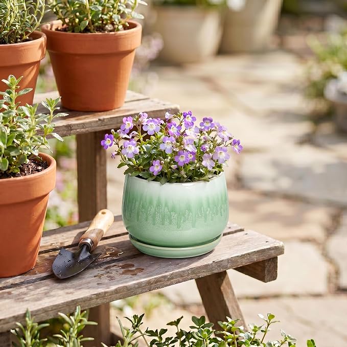 Ceramic Plant Pots - 4 Inch Pots for Plants with Drainage Hole and Saucer, Small Succulent Pot for Indoor Plants, Round Ceramic Planter, Home Office Decor, House Warming Gifts, Green