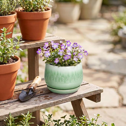 Ceramic Plant Pots - 4 Inch Pots for Plants with Drainage Hole and Saucer, Small Succulent Pot for Indoor Plants, Round Ceramic Planter, Home Office Decor, House Warming Gifts, Green