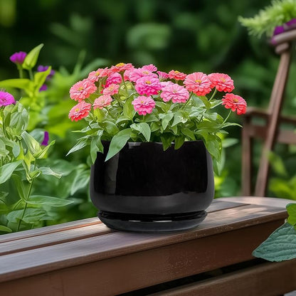 G EPGardening 6 Inch Planter - Ceramic Pot for Plants, Ceramic Planter with Drainage and Saucer, Round Flower Pot Indoor Outdoor, Modern Room Decor, Home Gifts, Black